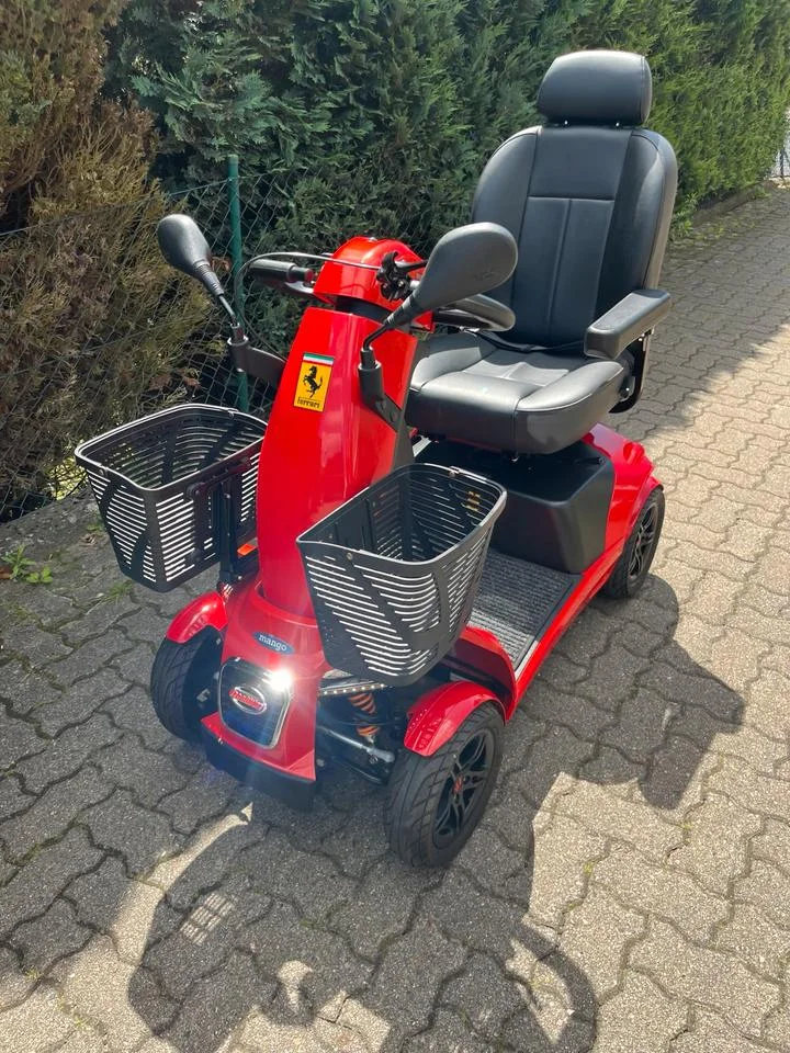 FR1 Luxury Mobility Scooter